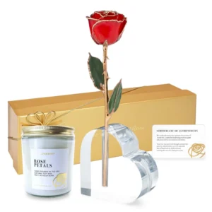 The 24K Forever Rose For Your Forever Love